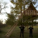Cabane dans les arbres avec une terrasse, entourée de verdure et darbres.