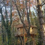Cabane dans les arbres, perchée entre les feuillages dautomne, offrant une vue paisible.