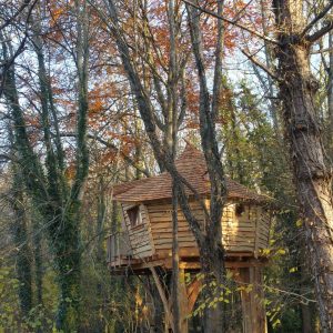 Cabane dans les arbres, perchée entre les feuillages dautomne, offrant une vue paisible.