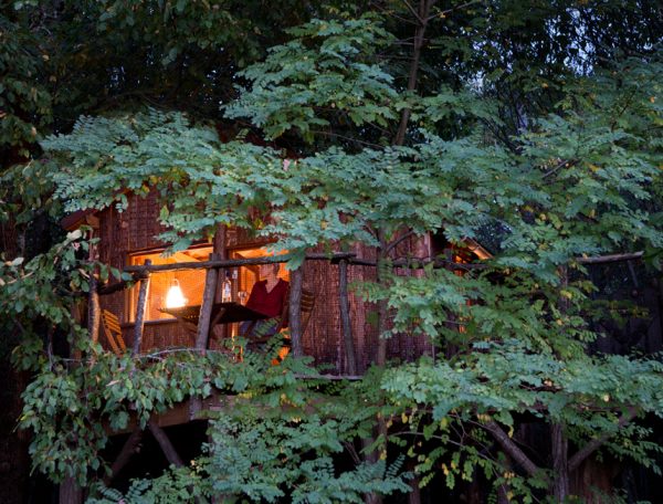 BOIS_CHARMANT_4108pivert980