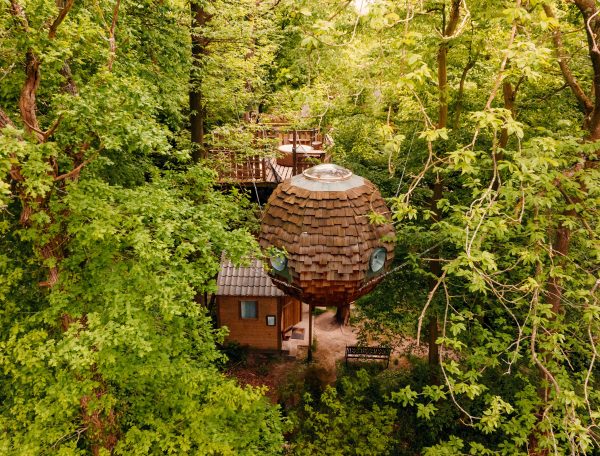 Cabane en bois en forme de sphère, nichée parmi les arbres verdoyants.