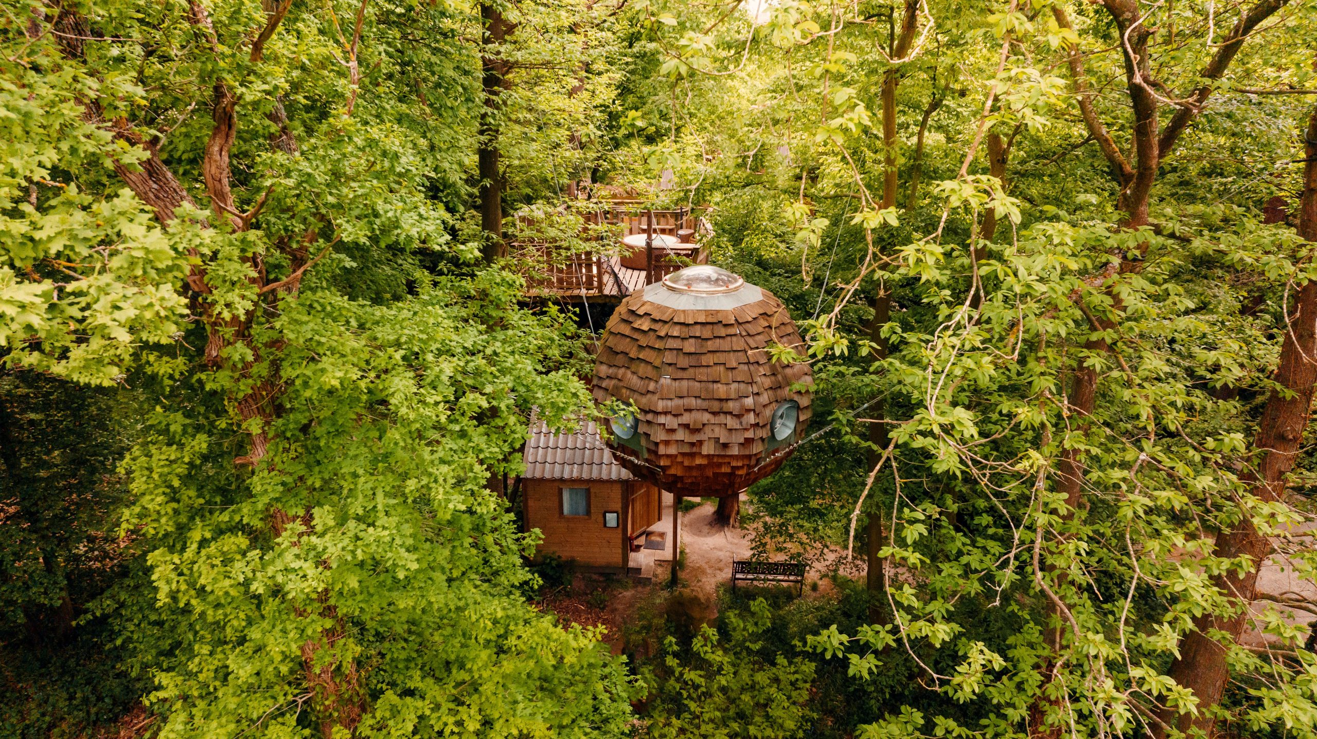 Cabane en bois en forme de sphère, nichée parmi les arbres verdoyants.