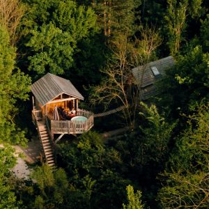 Cabane perchée dans les arbres, entourée de verdure luxuriante à Hauts-de-France.