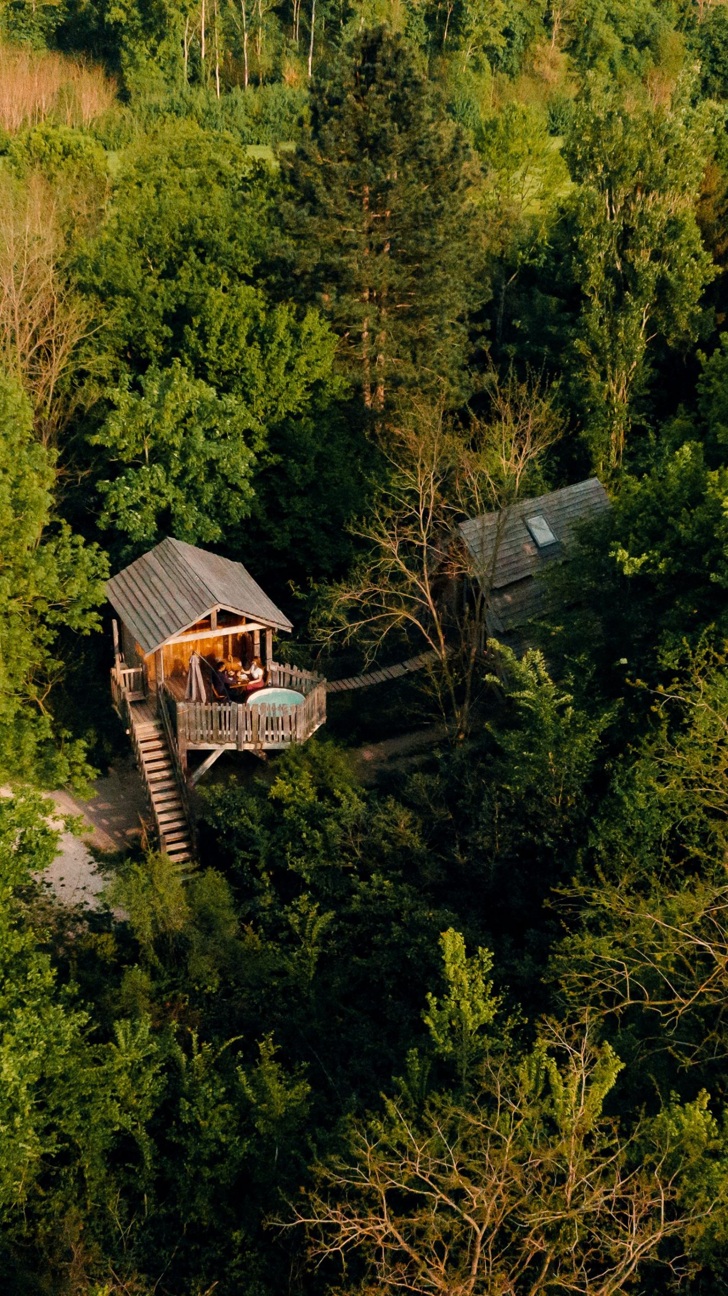 Cabane perchée dans les arbres, entourée de verdure luxuriante à Hauts-de-France.