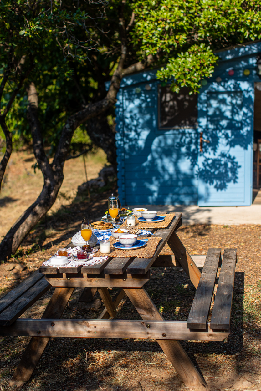 065A1594 Cabane en bois bleue, table de pique-nique dressée avec petit-déjeuner en plein air.