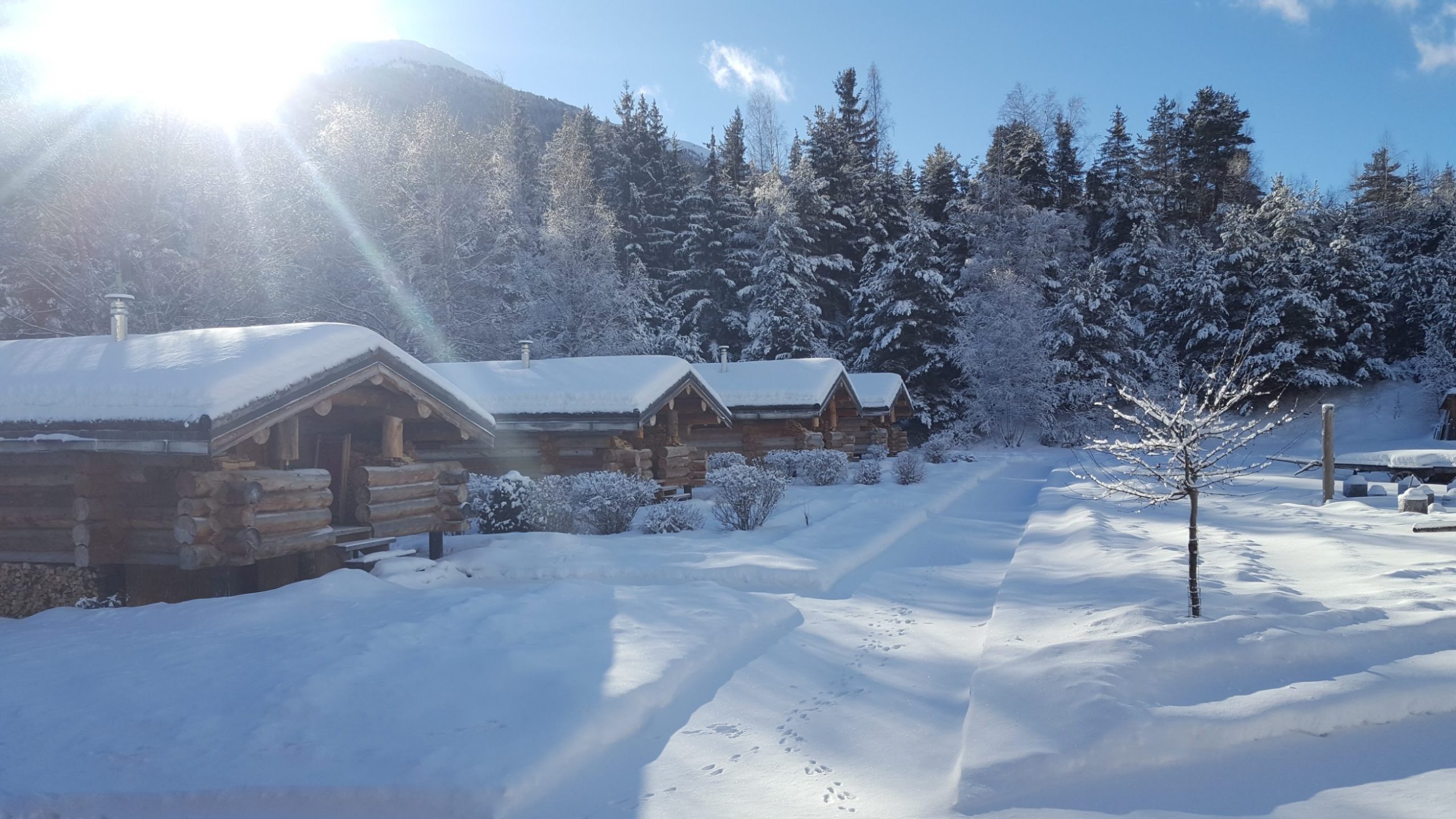 6 Les Cabanes en hiver Chalets en bois dans un paysage enneigé, entourés de sapins majestueux.