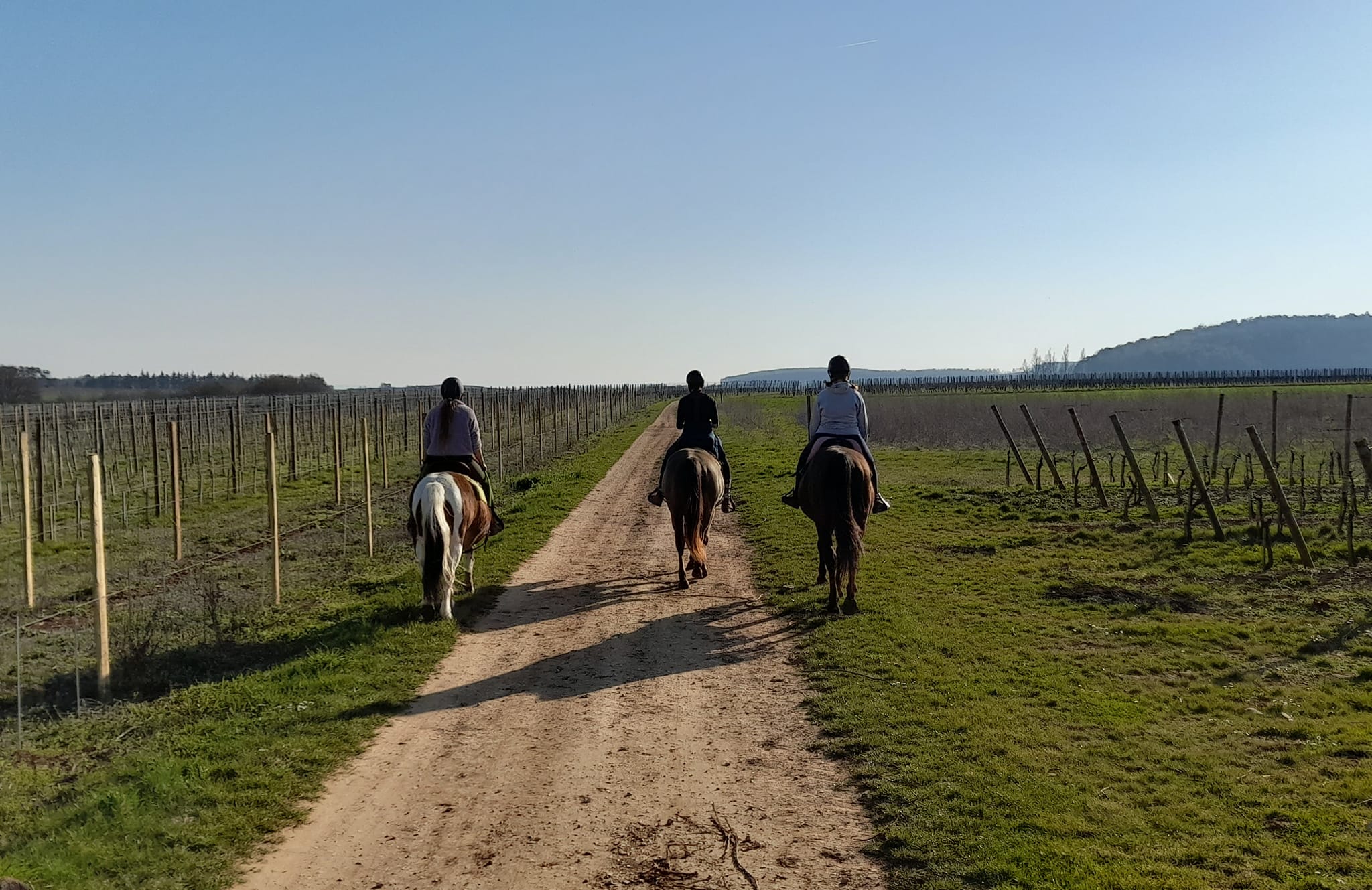 276321380_2432744670190442_1799747570938086803_n