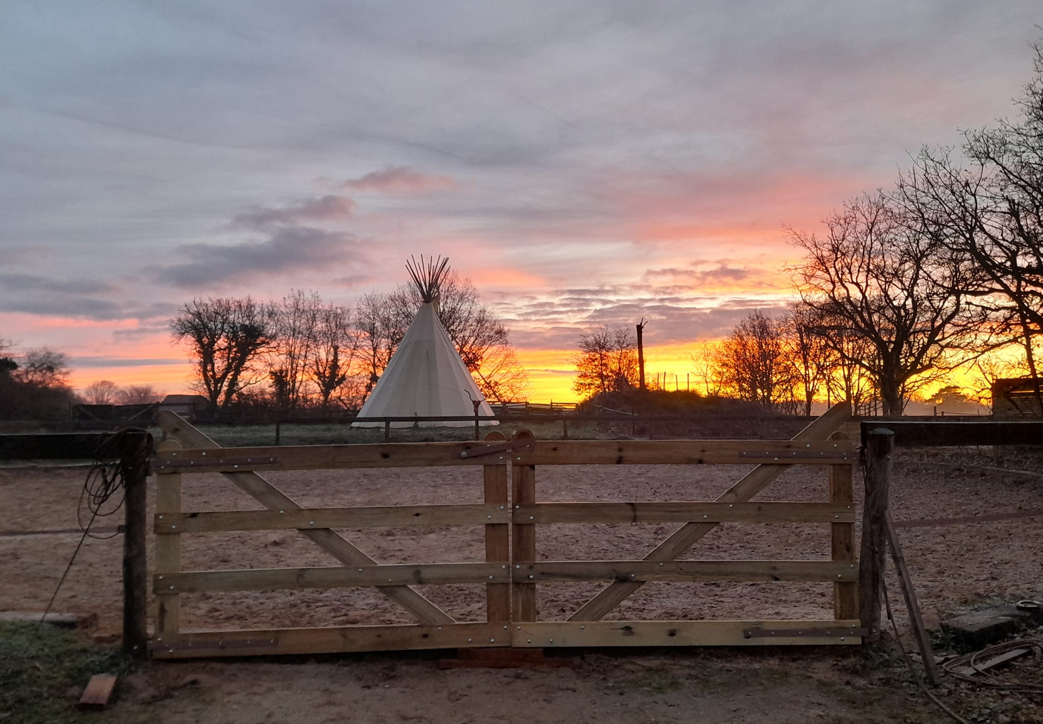 322709947_1849895975380560_1347525595240597457_n