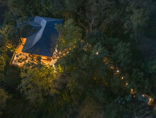 Cabane perchée dans les arbres, illuminée, entourée de verdure au Languedoc-Roussillon.