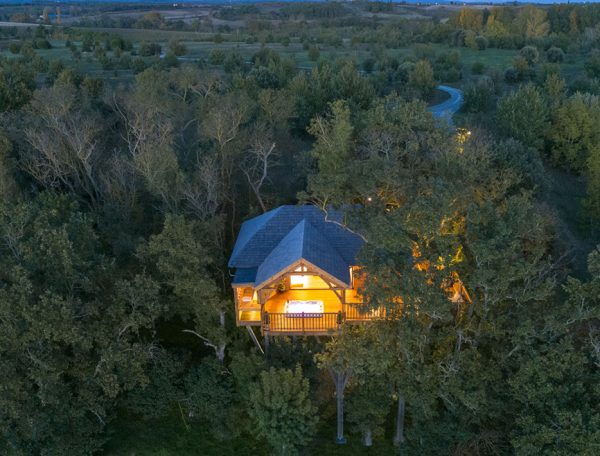 Cabane perchée dans les arbres, illuminée, entourée de verdure à Languedoc-Roussillon.