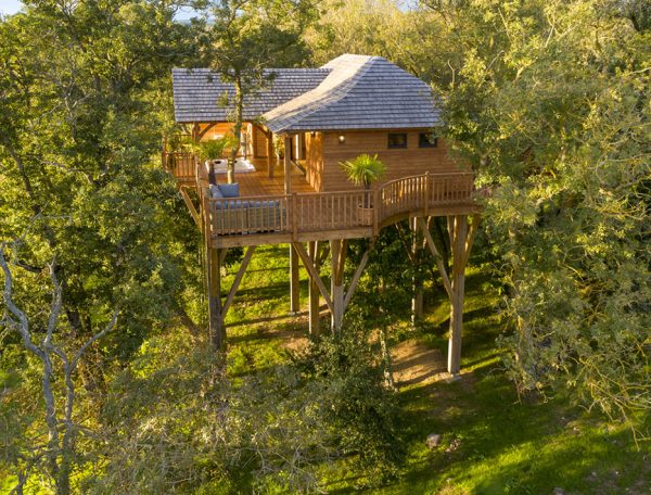 Cabane perchée en bois, entourée darbres, offrant une vue imprenable sur la nature.