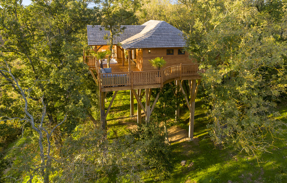 Cabane perchée en bois, entourée darbres, offrant une vue imprenable sur la nature.