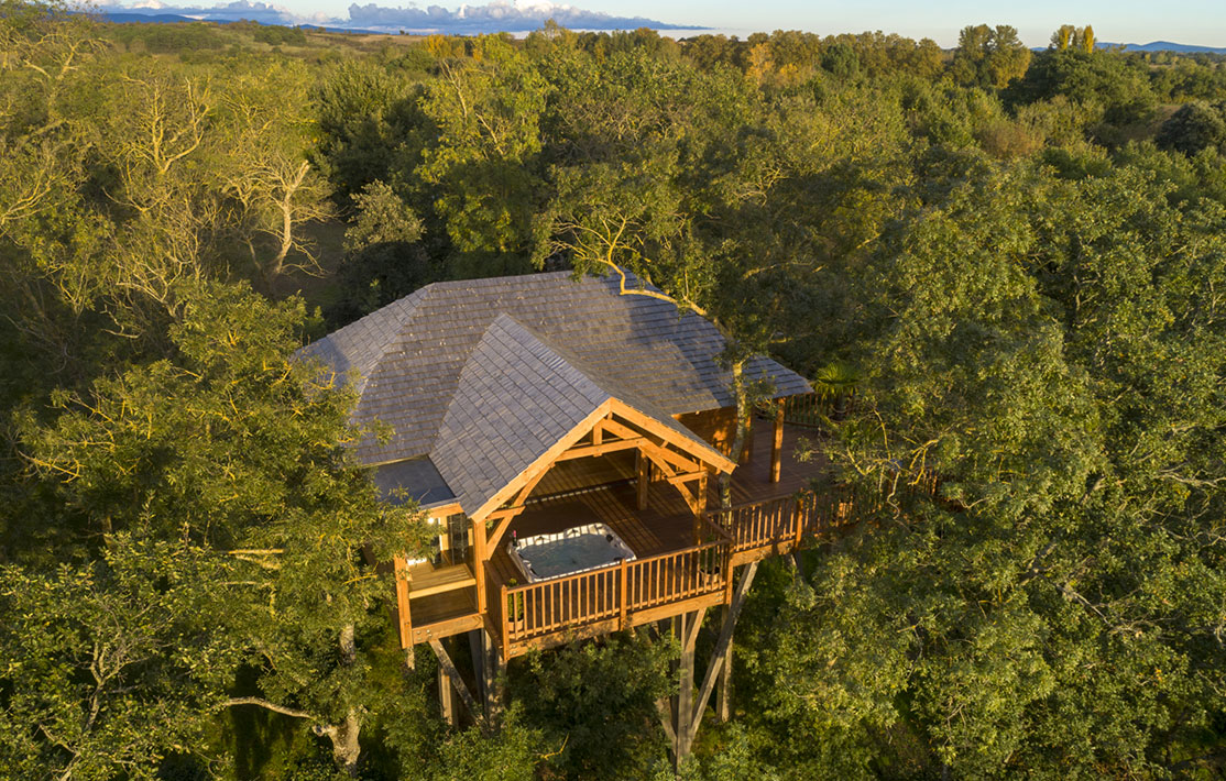 Cabane perchée dans les arbres, entourée de verdure, avec terrasse et jacuzzi.