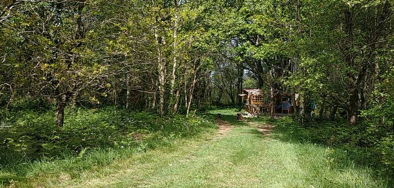 panoramique bateau Cabane perchée en pleine forêt, entourée de verdure luxuriante à Basse-Normandie.