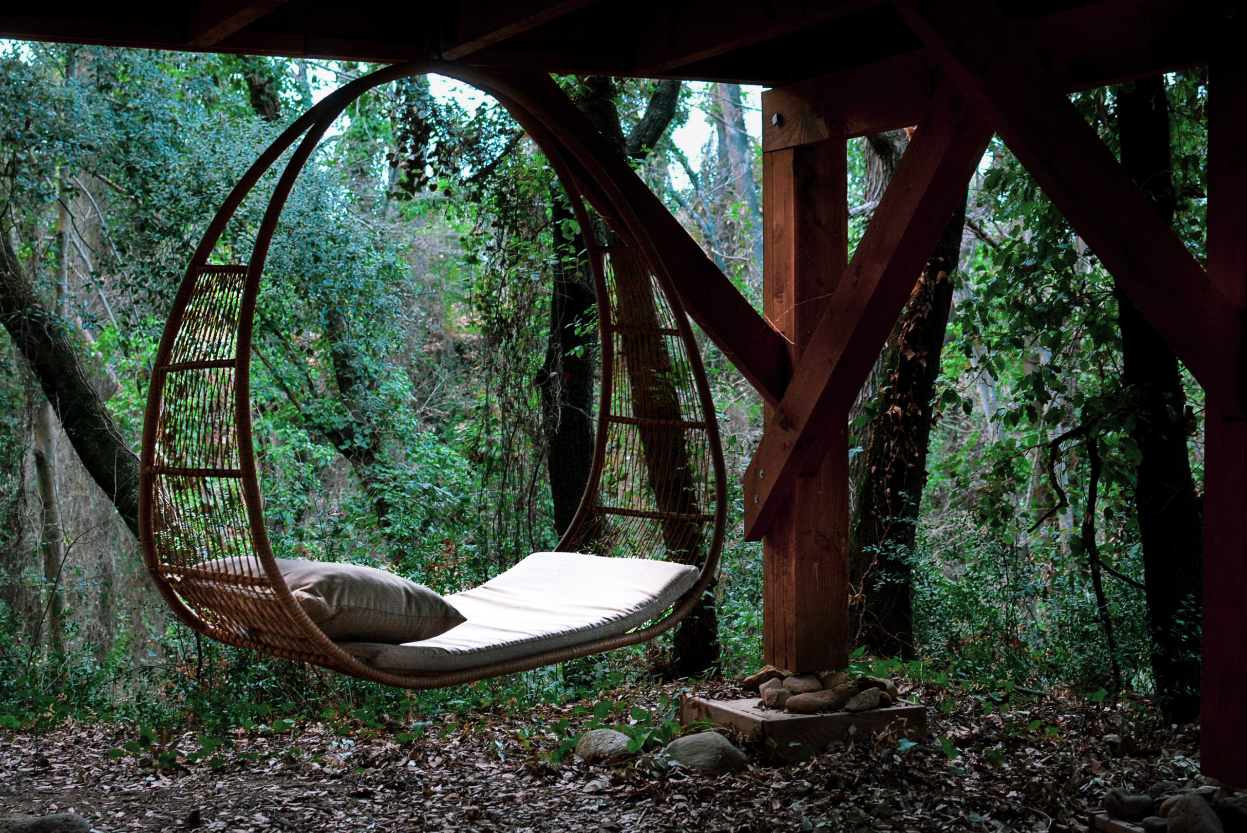 Hébergement insolite : hamac suspendu en osier, entouré de verdure luxuriante.