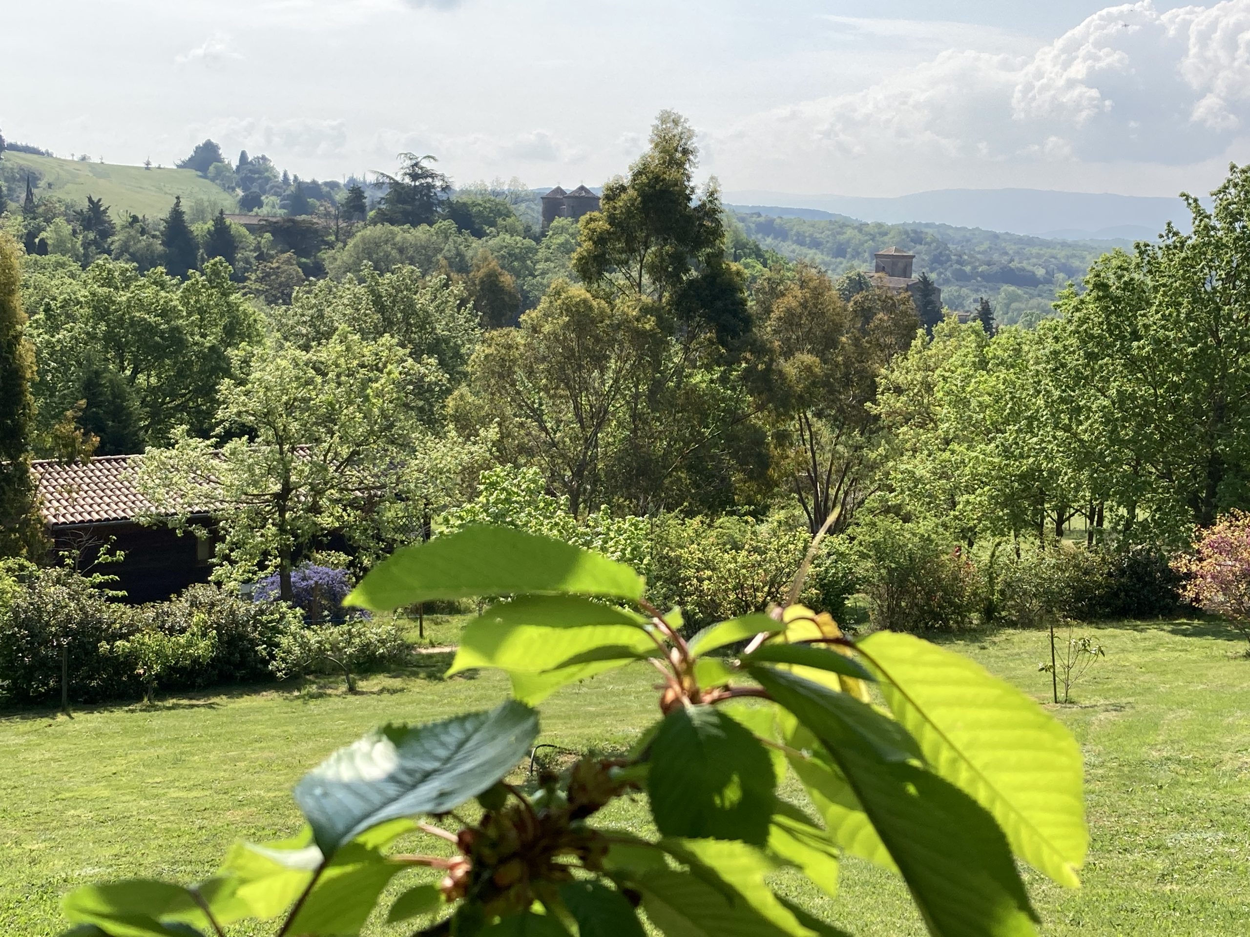 IMG_0682 Hébergement insolite en pleine nature, avec des arbres verdoyants et des collines en arrière-plan.