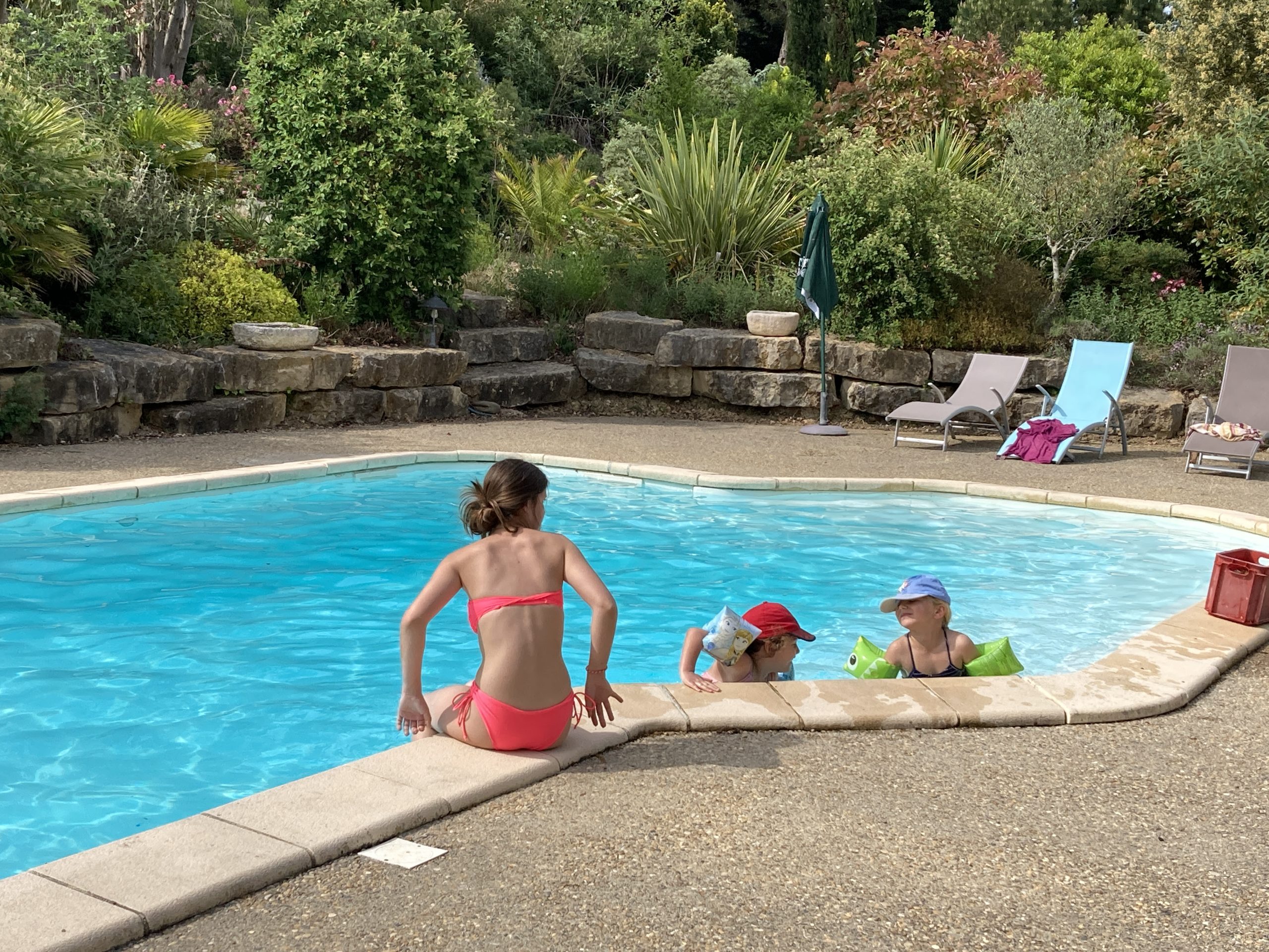 IMG_0741 Hébergement insolite en Languedoc-Roussillon avec piscine et verdure luxuriante.