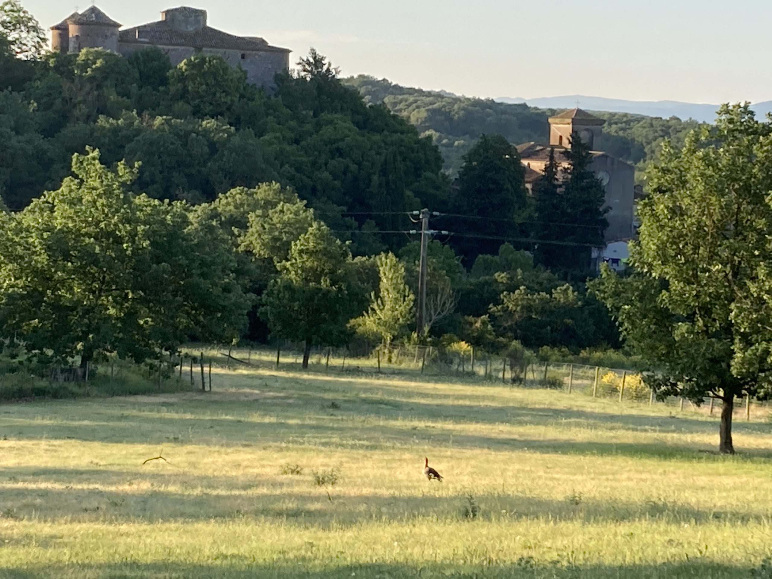 IMG_0808 Hébergement insolite en Languedoc-Roussillon, avec vue sur un château et la nature verdoyante.