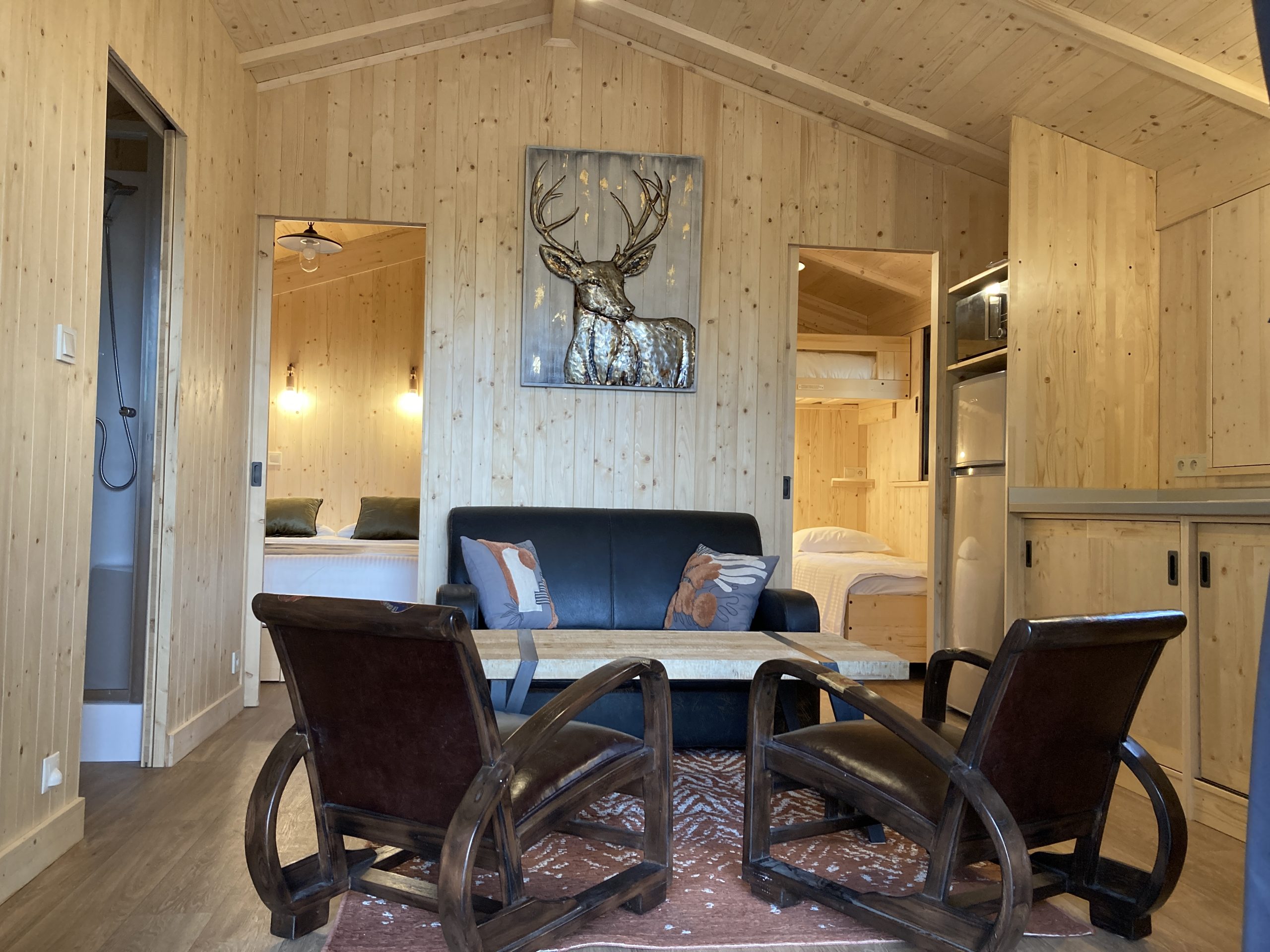 IMG_1276 Chalet en bois chaleureux avec salon, fauteuils confortables et décoration naturelle.