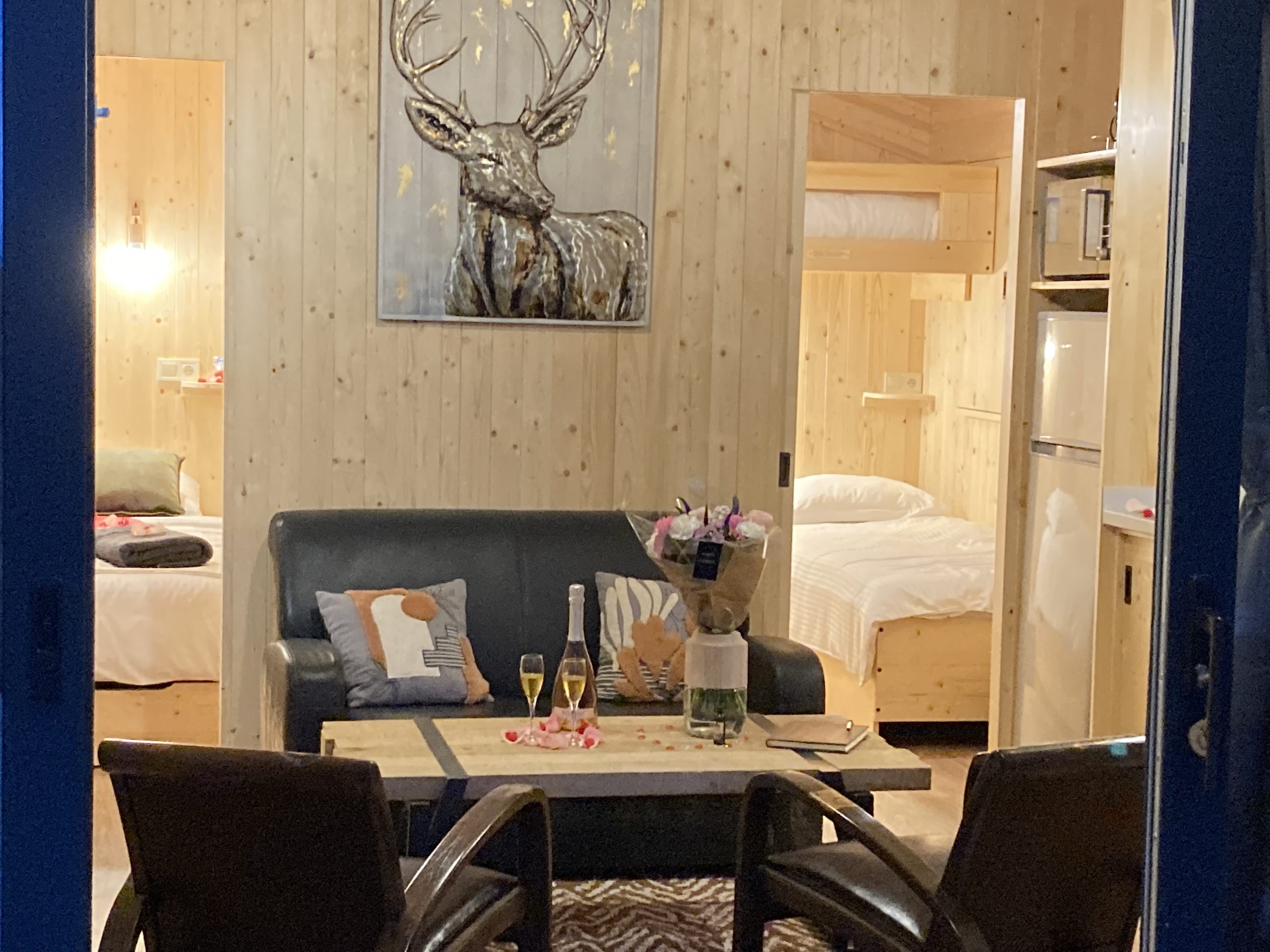 IMG_1436 Hébergement insolite en bois avec salon cosy et décoration élégante.