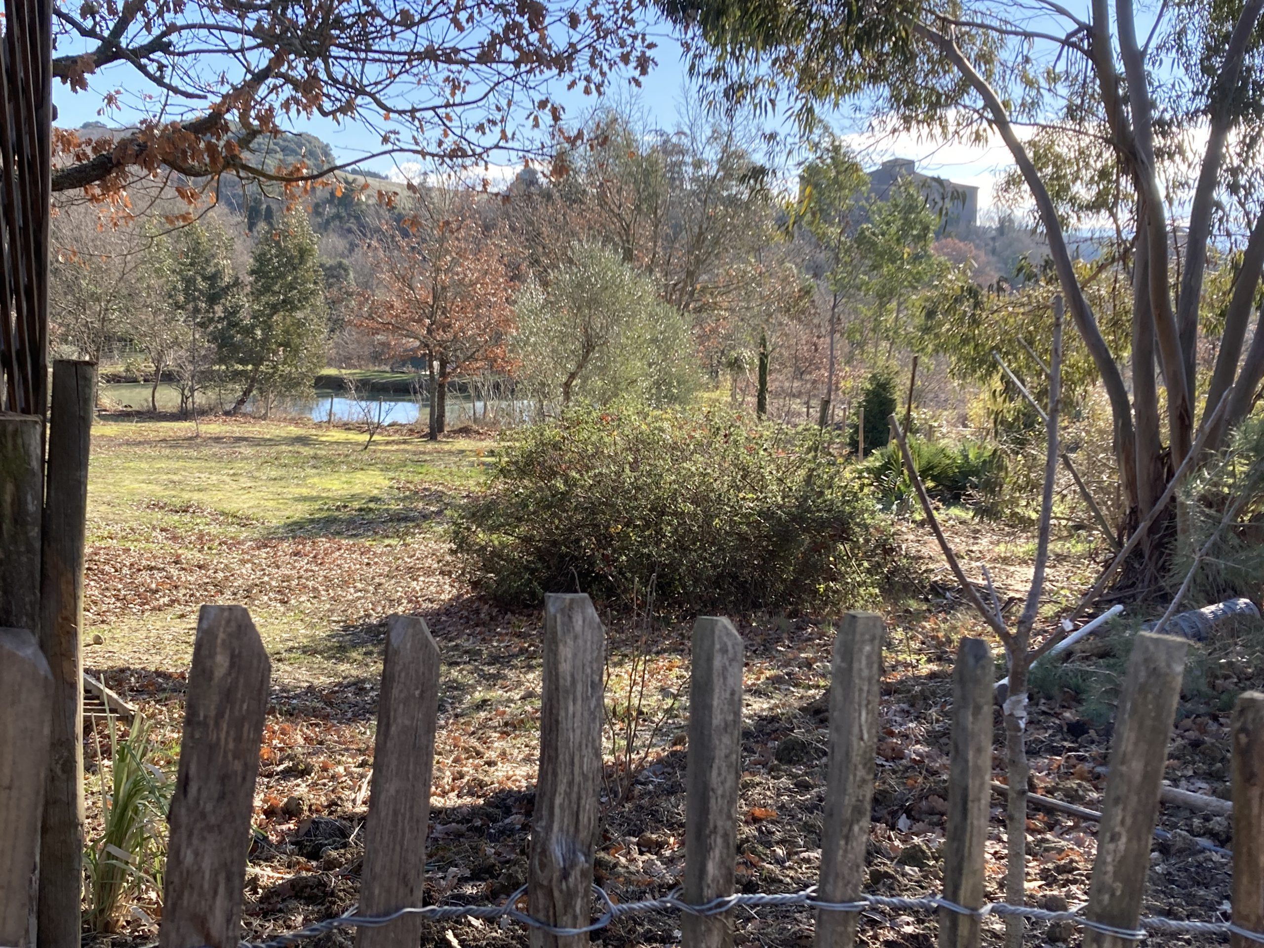IMG_1630 Hébergement insolite en Languedoc-Roussillon, vue sur un jardin verdoyant et paisible.