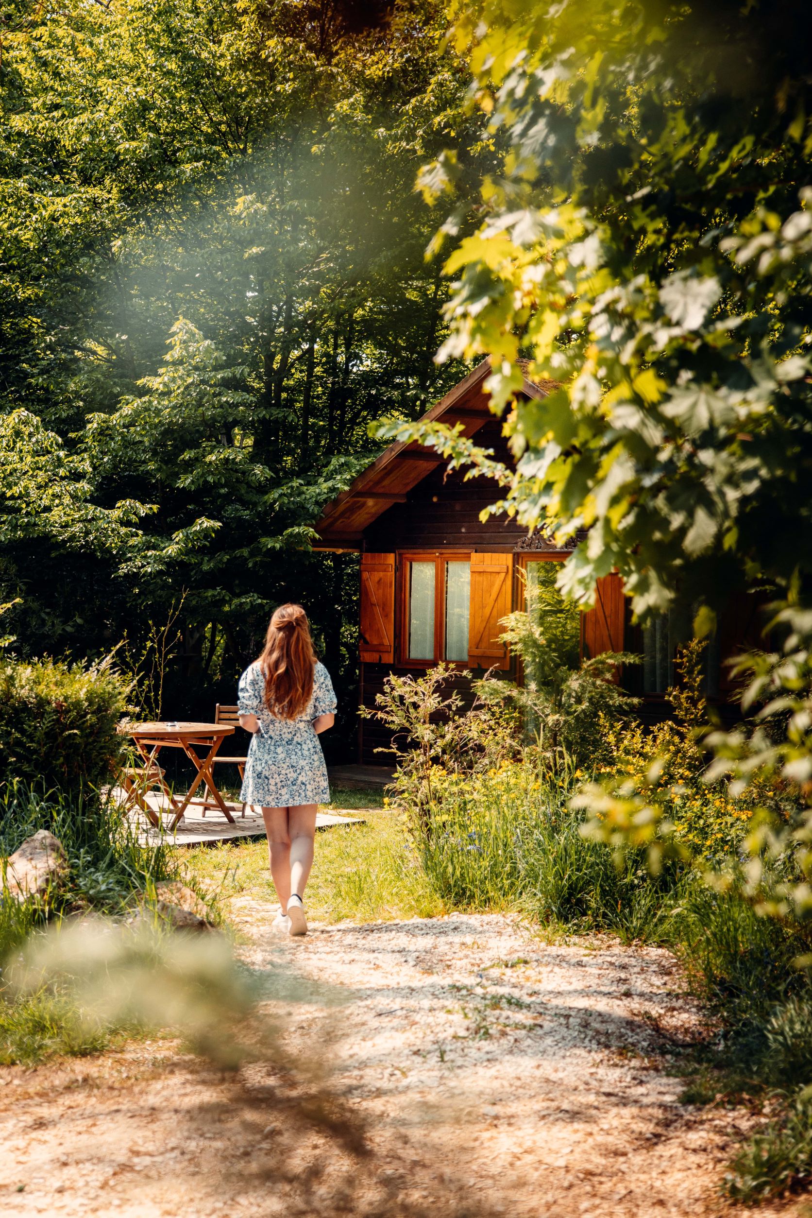 Cabane en bois dans la nature, entourée de verdure, offrant un cadre paisible.