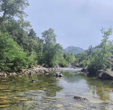le golo Hébergement insolite en Corse, au bord dune rivière cristalline entourée de verdure.