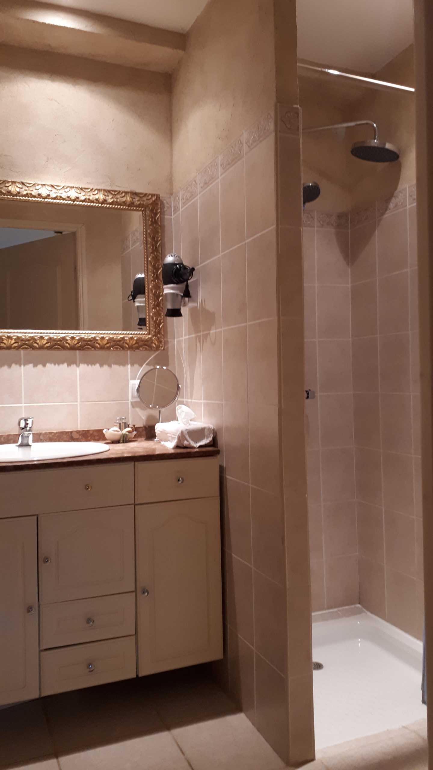 Salle de bain élégante dun hébergement insolite en Grand-Est, avec miroir doré.