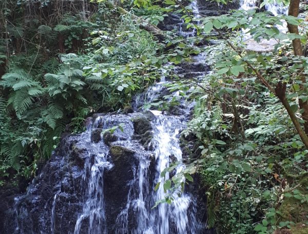 Hébergement insolite en forêt, avec un ruisseau et des cascades apaisantes.