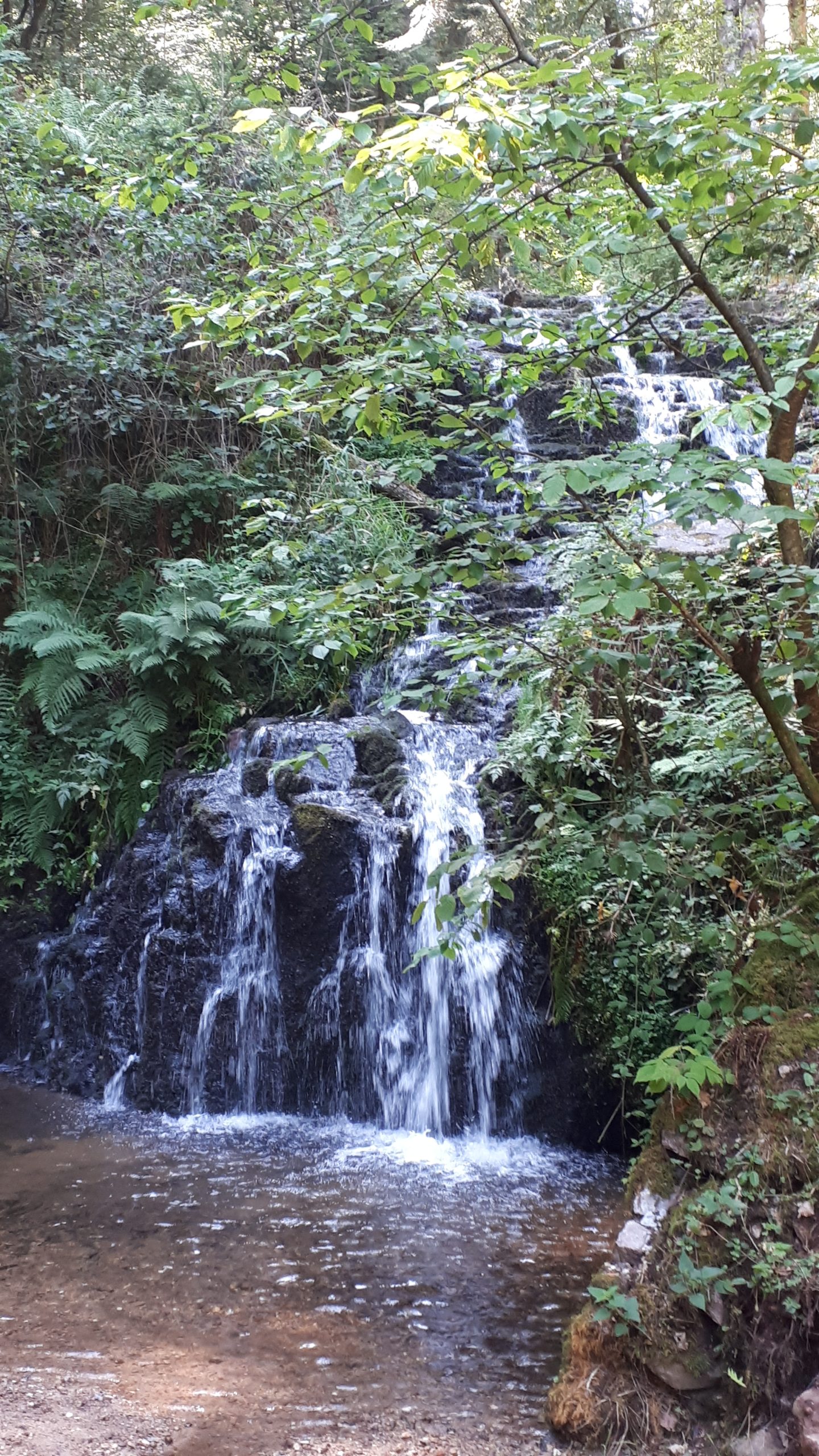 Hébergement insolite en forêt, avec un ruisseau et des cascades apaisantes.