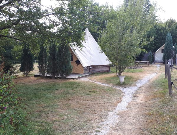 Tentes safari au cœur de la nature, entourées darbres et dun chemin en gravier.