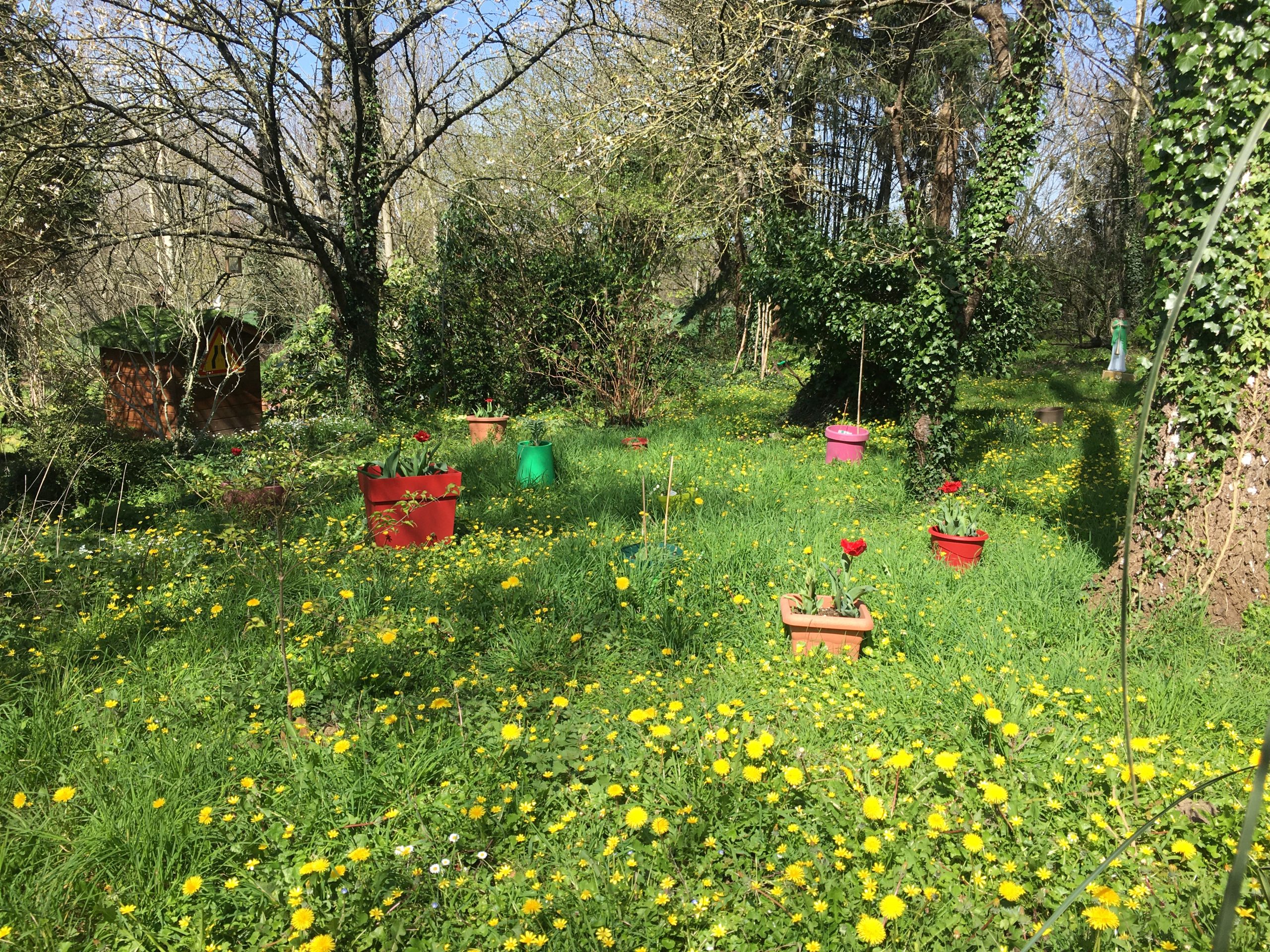 6EBBA577-6E10-4685-8398-DBF8236059C8 Hébergement insolite en pleine nature, entouré de fleurs jaunes et de pots colorés.