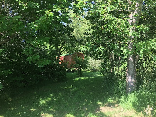 ROULOTTE - 1 (5) Cabane perchée en bois, entourée de verdure luxuriante en Basse-Normandie.