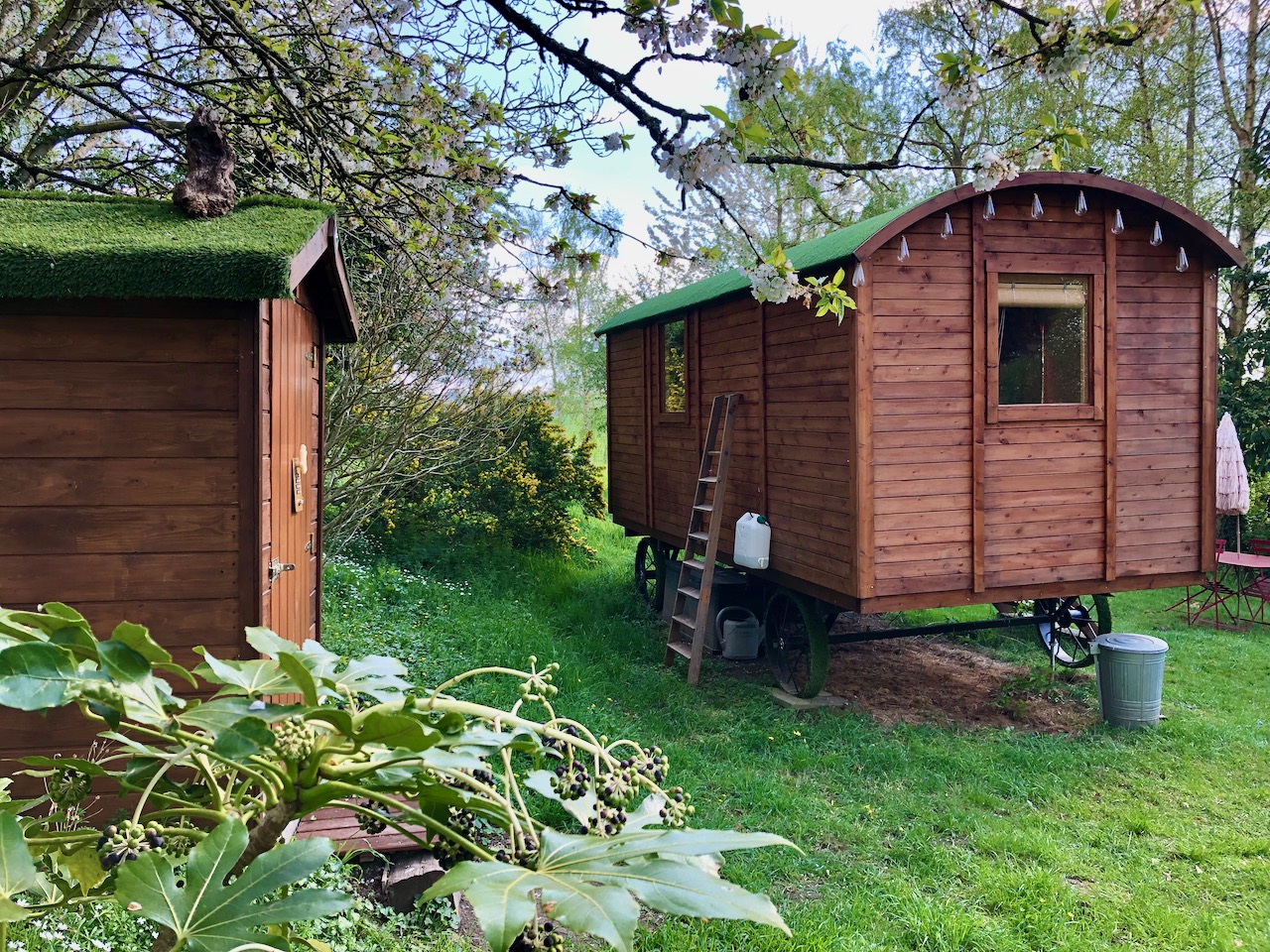 ROULOTTE NATURE ET CHARME - 1 (6) Charmante roulotte en bois à Basse-Normandie, entourée de verdure et darbres.
