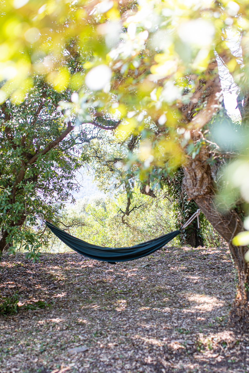 065A1740 Hébergement insolite en hamac, niché sous des arbres verdoyants en Provence.