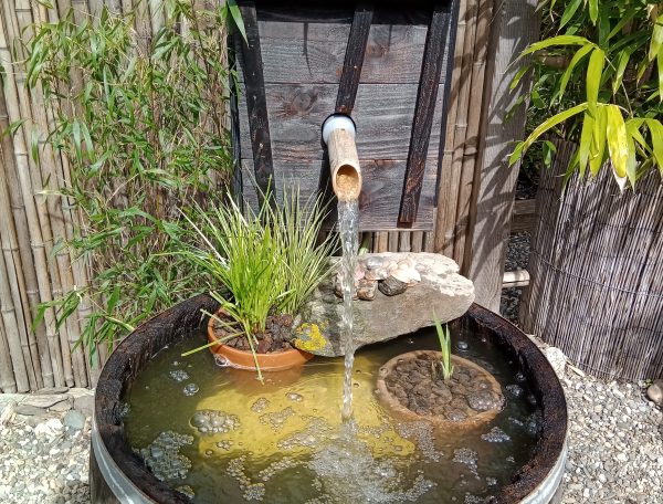 Hébergement insolite à Midi-Pyrénées, avec un bassin décoratif en tonneau et plantes.