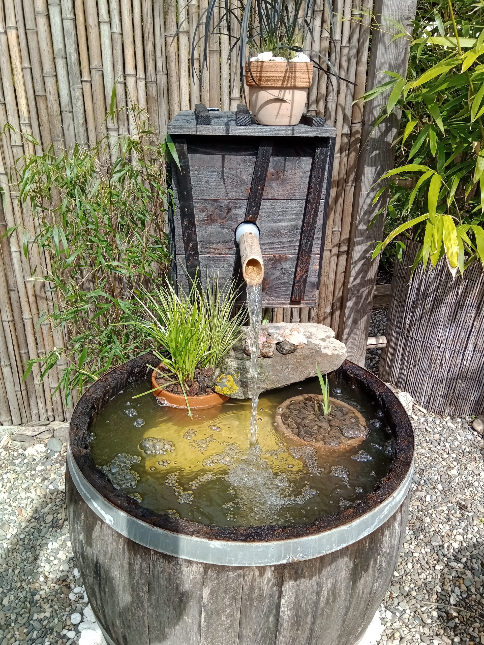 Hébergement insolite à Midi-Pyrénées, avec un bassin décoratif en tonneau et plantes.
