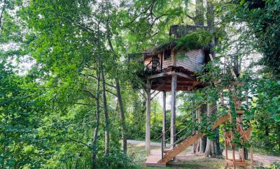 Cabane les Ecureuils