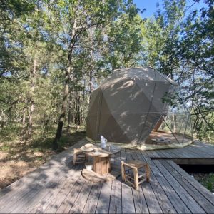 Dôme géodésique en pleine nature, entouré darbres, avec terrasse en bois.
