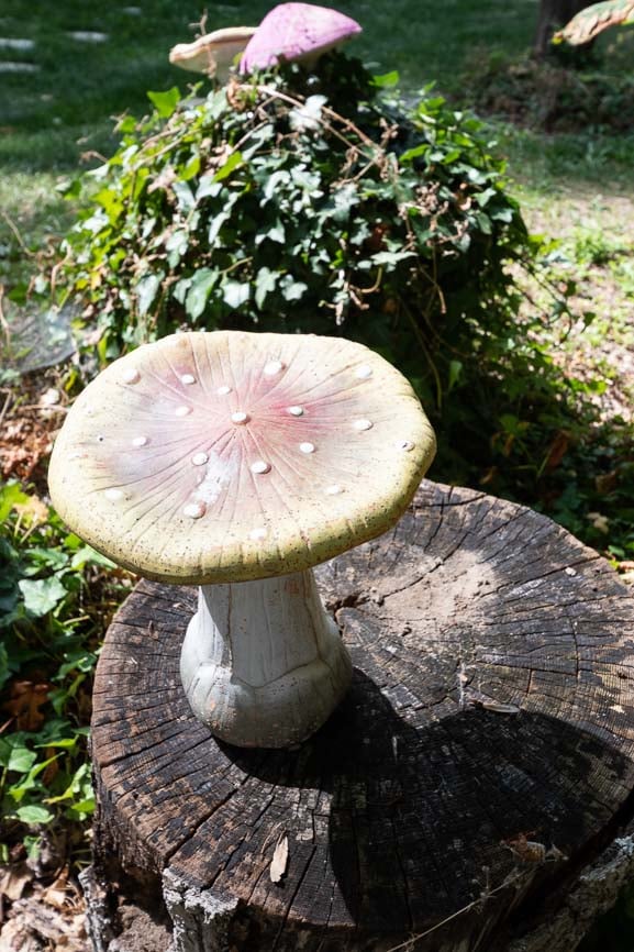 troll12 Hébergement insolite à Champagne-Ardennes : champignon géant sur un tronc en bois.