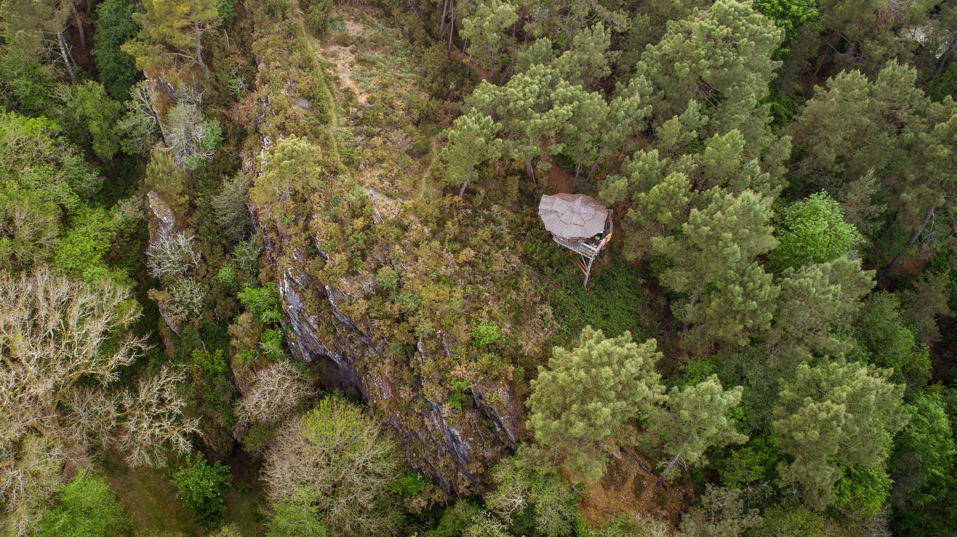 Le Pertuis du Rofo la Vilaine Cabane perchée dans les arbres, entourée de verdure en Bretagne. Vue imprenable sur la nature.