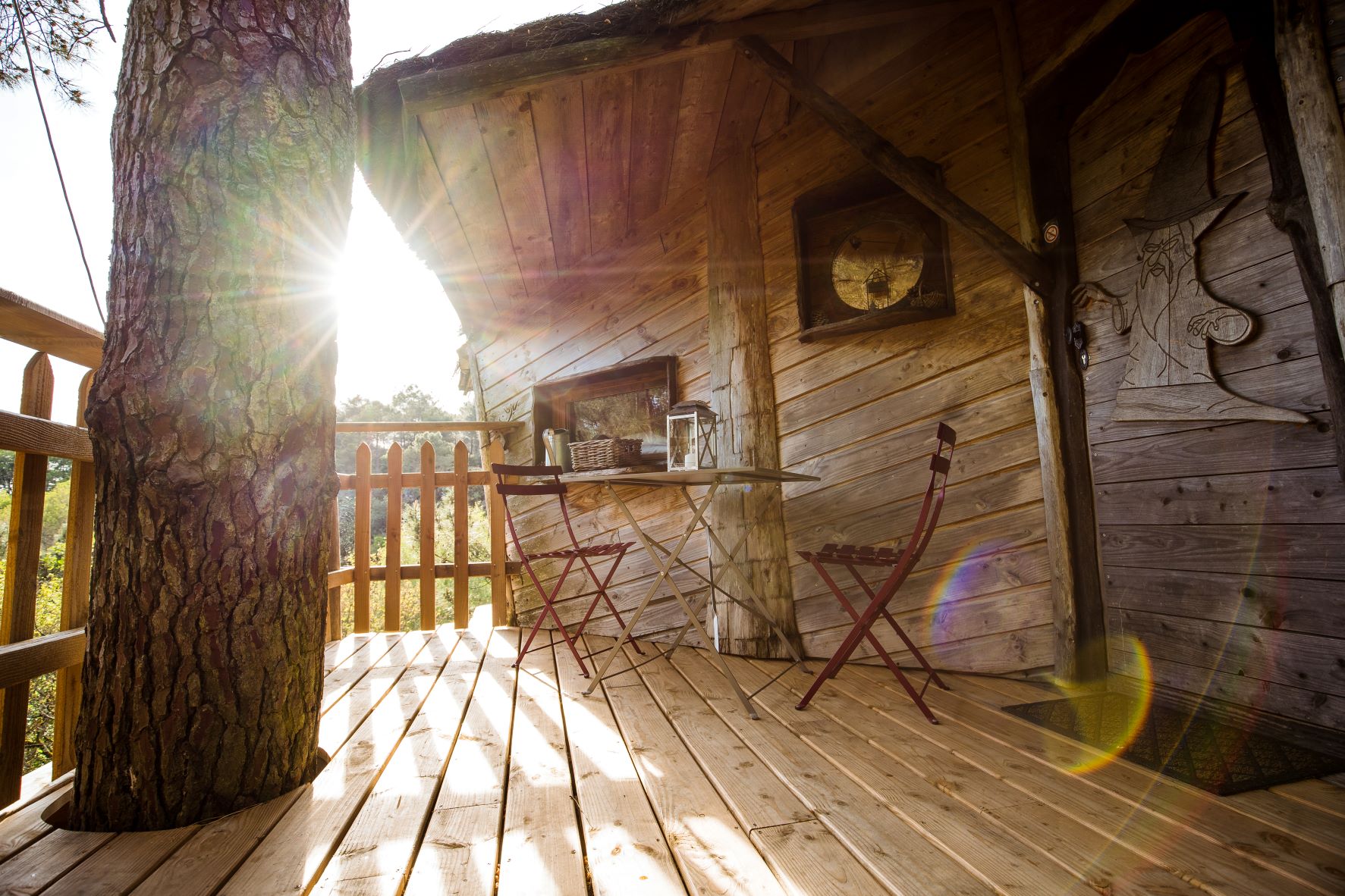 Le Pertuis du Rofo le Rofo (1) Cabane perchée en Bretagne, avec une terrasse en bois et un arbre majestueux.