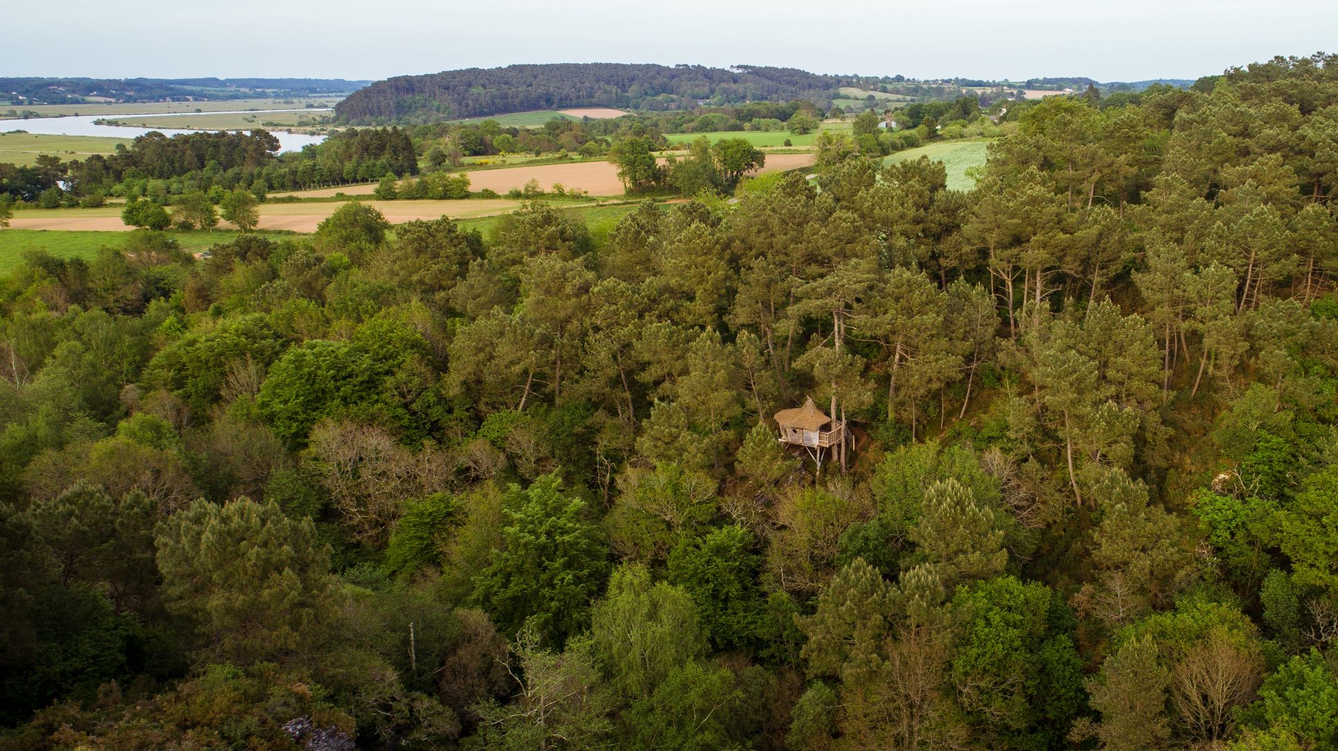 Le Pertuis du Rofo le Rofo Cabane perchée en Bretagne, entourée de verdure et surplombant la campagne.