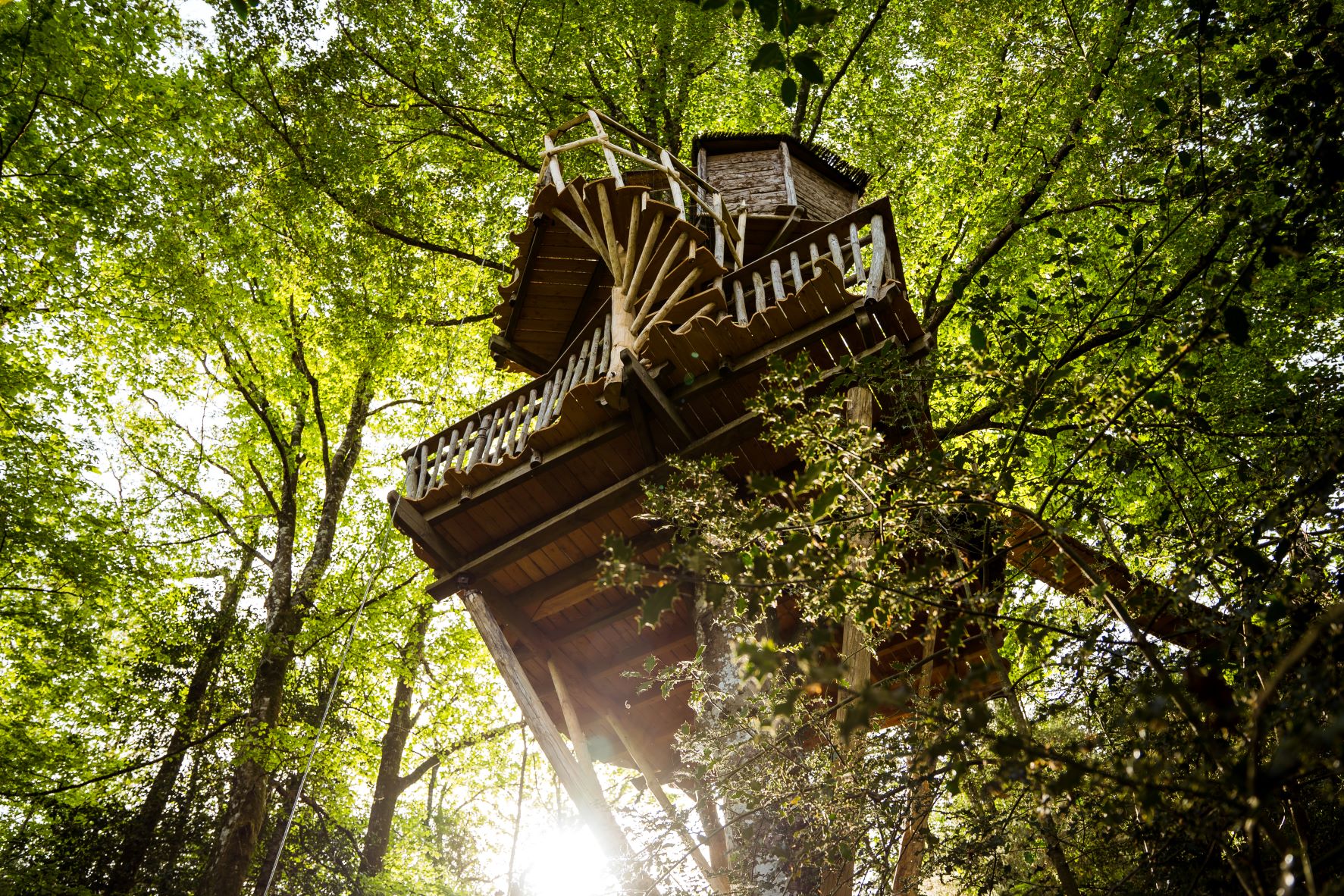 Le Pertuis du Rofo les Chouettes (1) Cabane perchée en Bretagne, entourée darbres verdoyants et dune belle lumière.