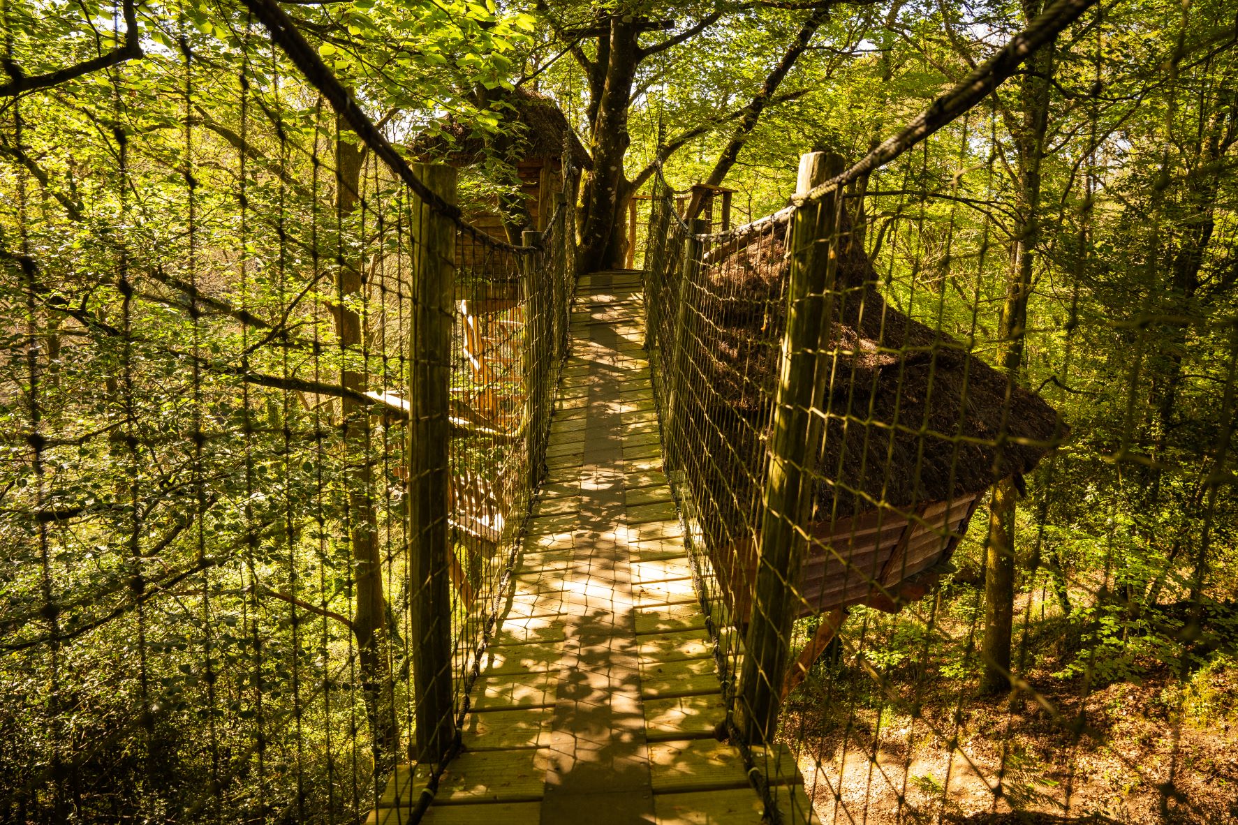 Le Pertuis du Rofo les Chouettes (4) Cabane perchée en Bretagne, accessible par un pont suspendu au cœur de la forêt.
