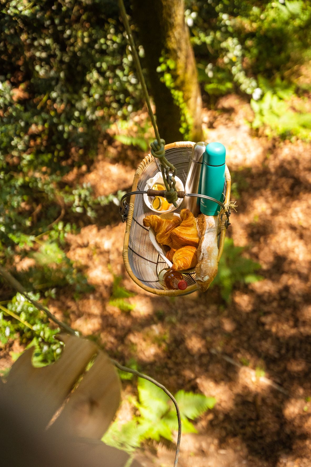 Le Pertuis du Rofo les Chouettes (9) Panier suspendu dans les arbres, offrant un petit-déjeuner en pleine nature.