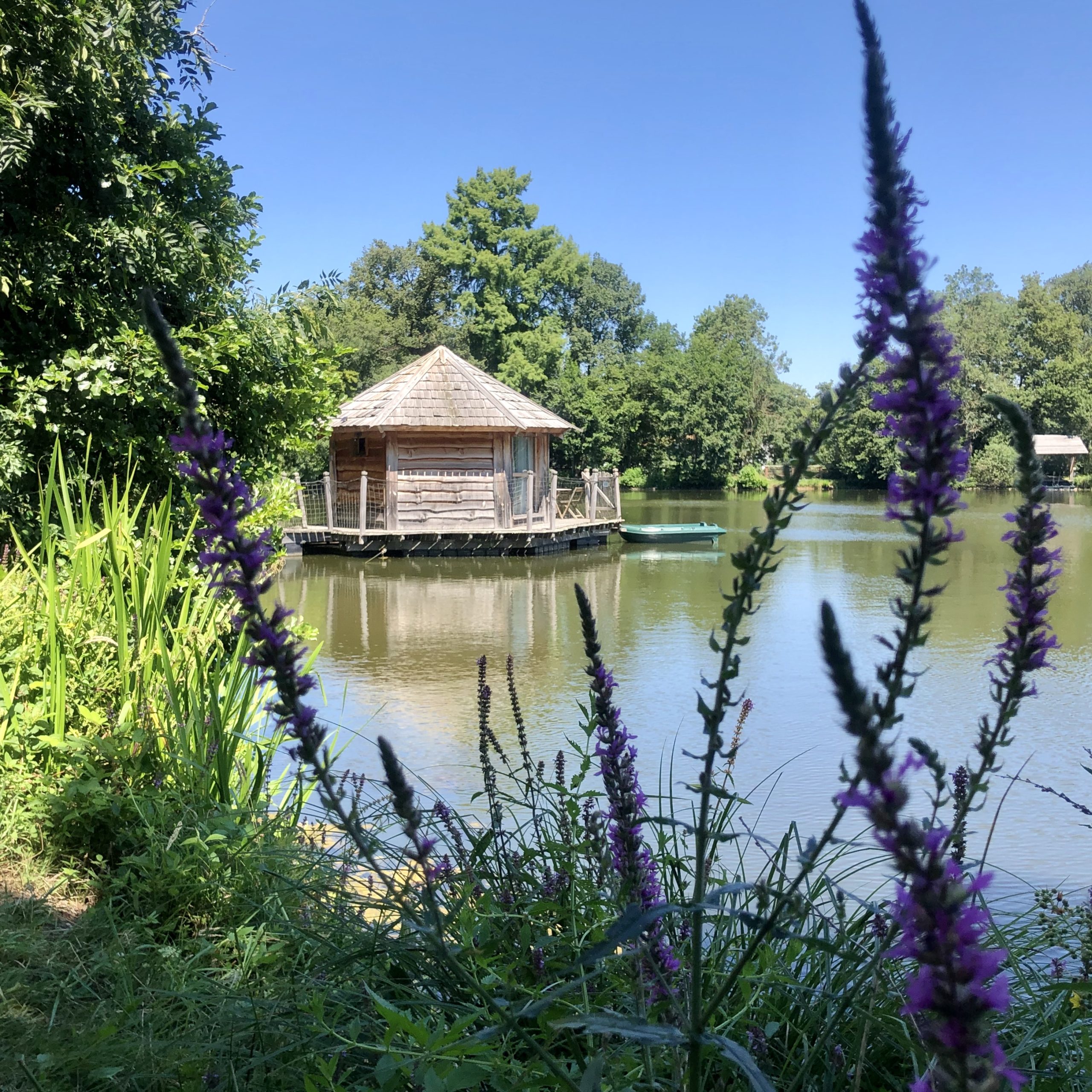 cabane joncs Cabane flottante en bois au bord dun lac, entourée de verdure et de fleurs.