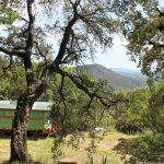 Blandine des Collines