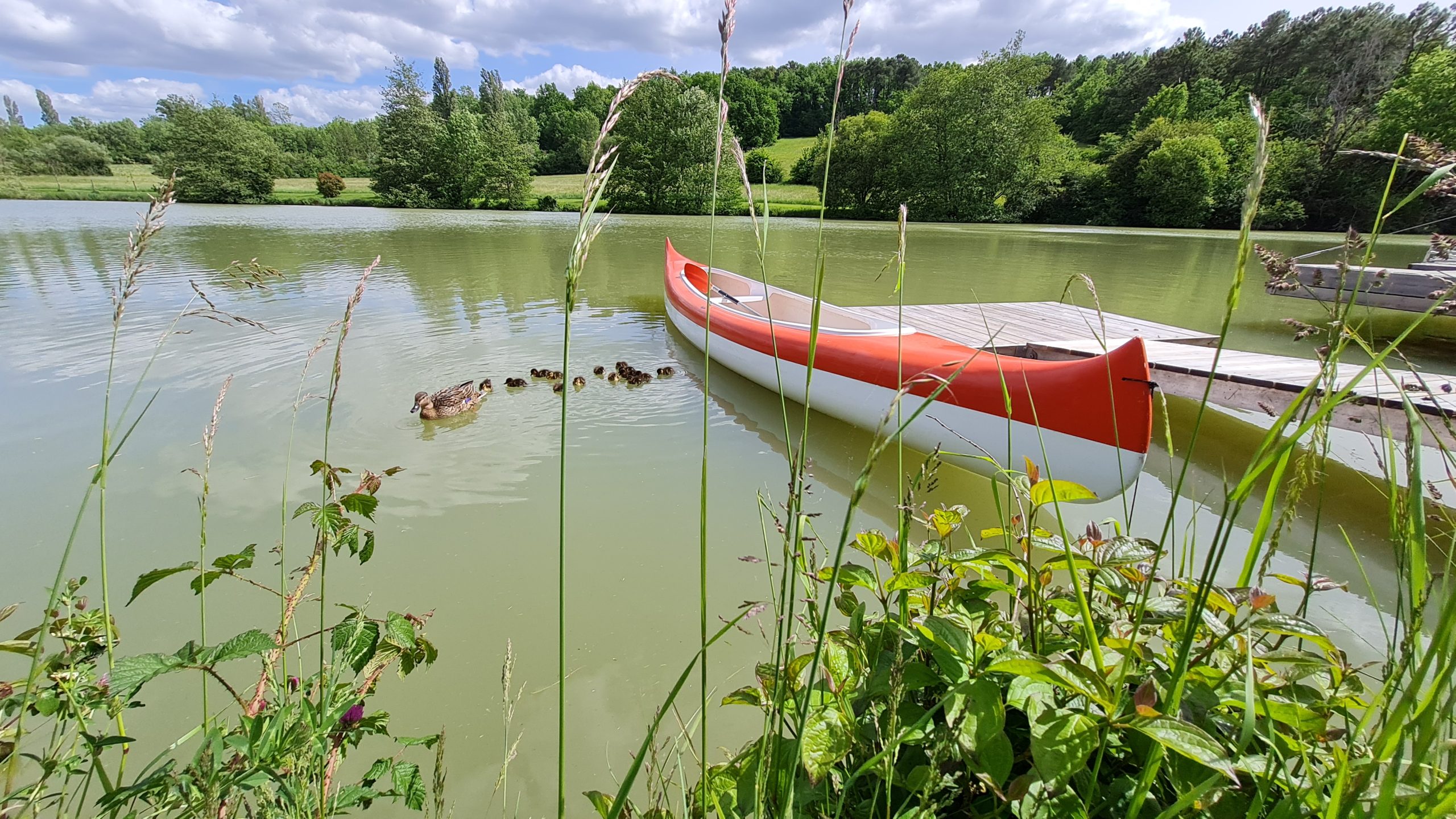 20210514_160738 Hébergement insolite en Aquitaine, un canoë coloré amarré au bord dun lac verdoyant.