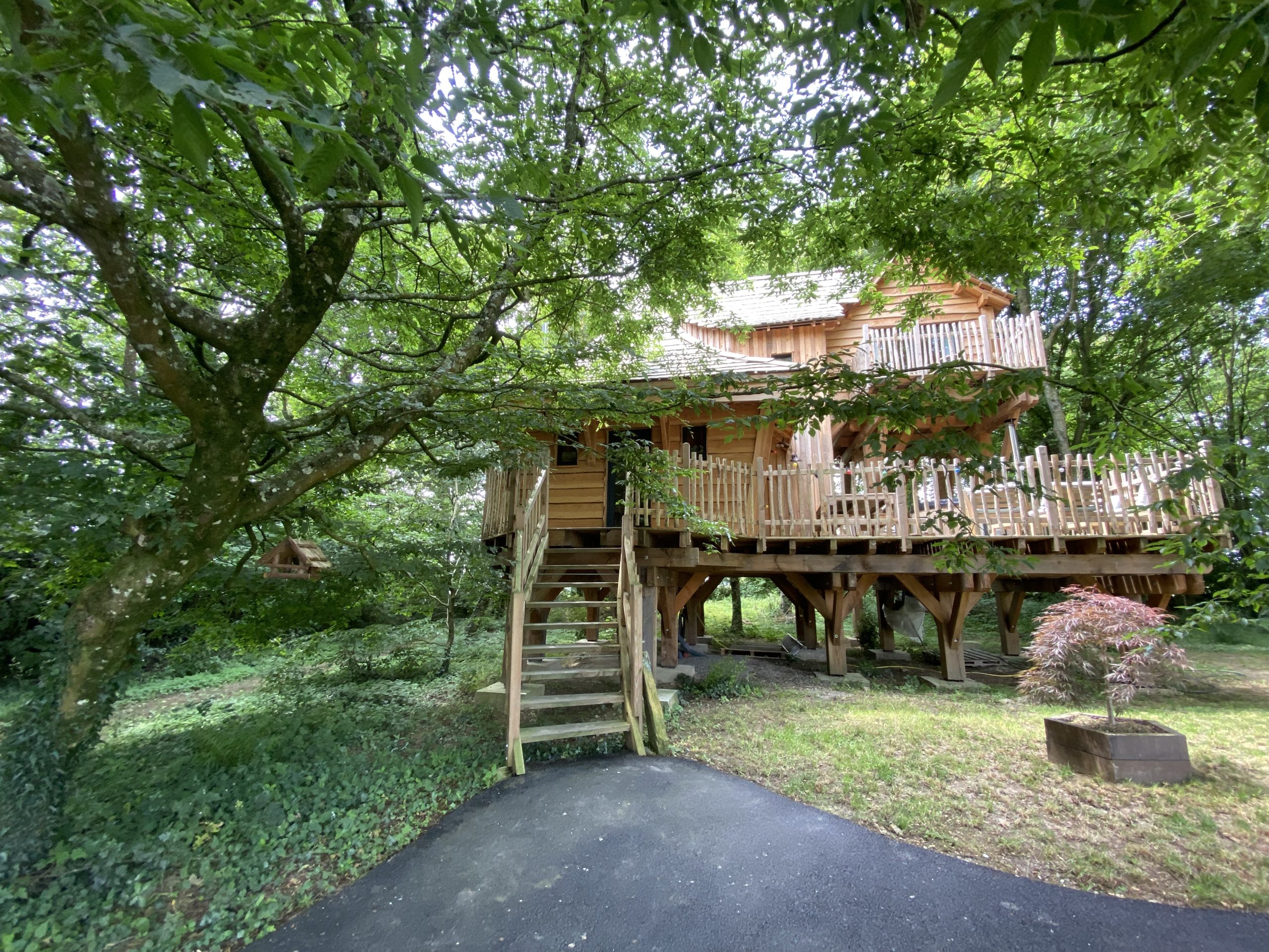 IMG_2778 Cabane perchée en Bretagne, entourée darbres verdoyants et avec une terrasse en bois.